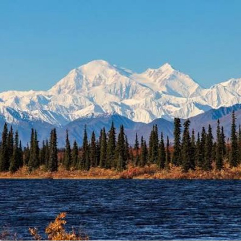 Meet your Posher, Haylee